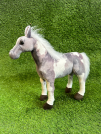 Grey Skewbald Foal