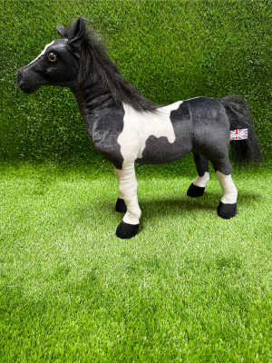Piebald Pony