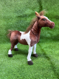 Skewbald Pony