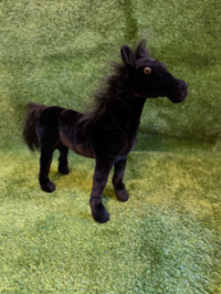 Black Pony