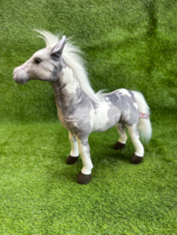 Grey Skewbald Pony